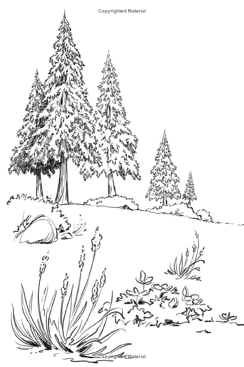A Walk in the Wood: Meditations on Mindfulness with a Bear Named Pooh