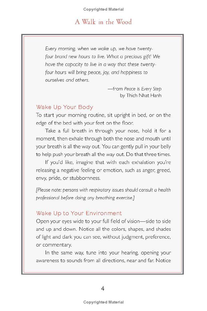 A Walk in the Wood: Meditations on Mindfulness with a Bear Named Pooh