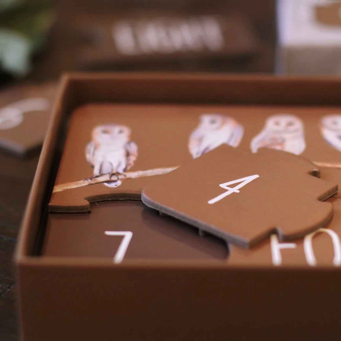 Woodland Counting Puzzle