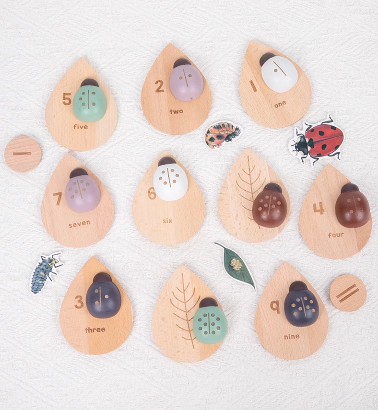 Wooden Ladybug Educational STEM Set
