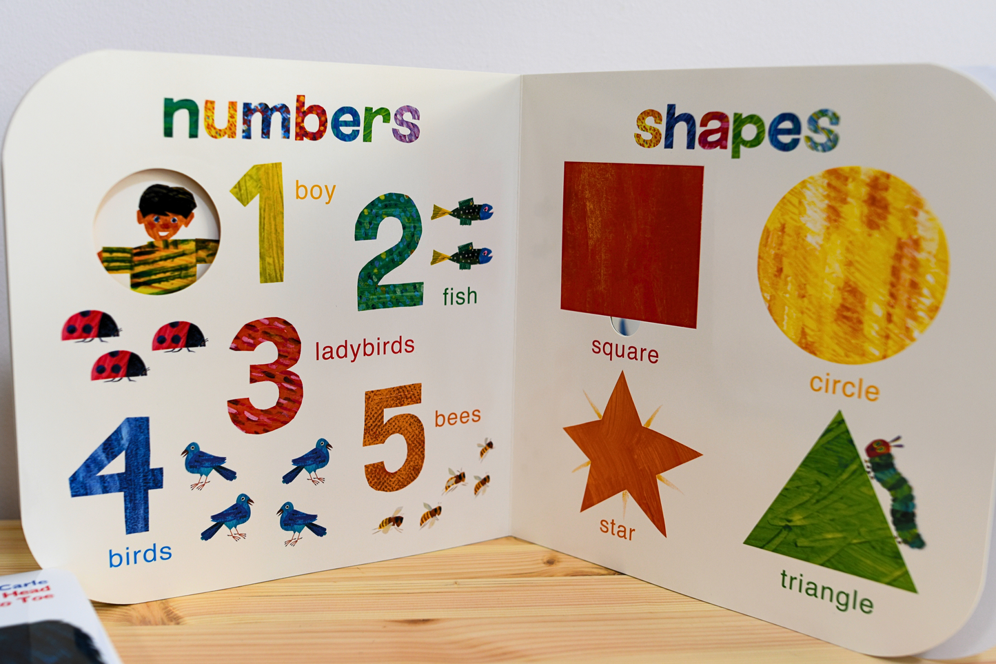 Touch & Feel Playbook by Eric Carle