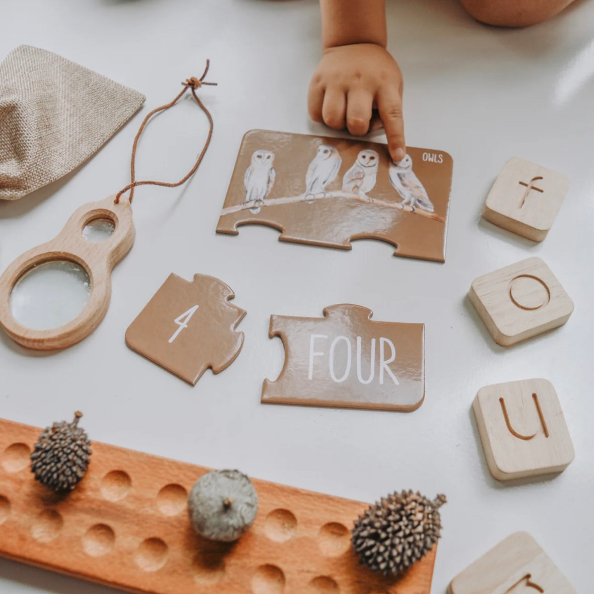 Woodland Counting Puzzle