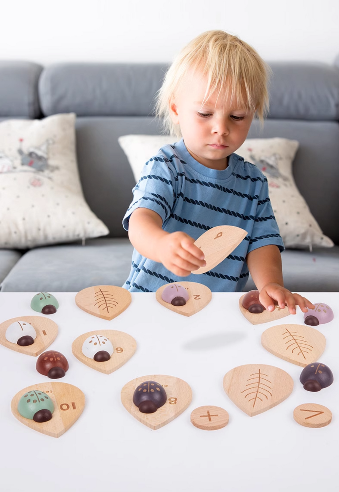 Wooden Ladybug Educational STEM Set