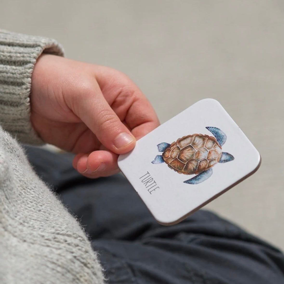 Ocean Memory Card Game