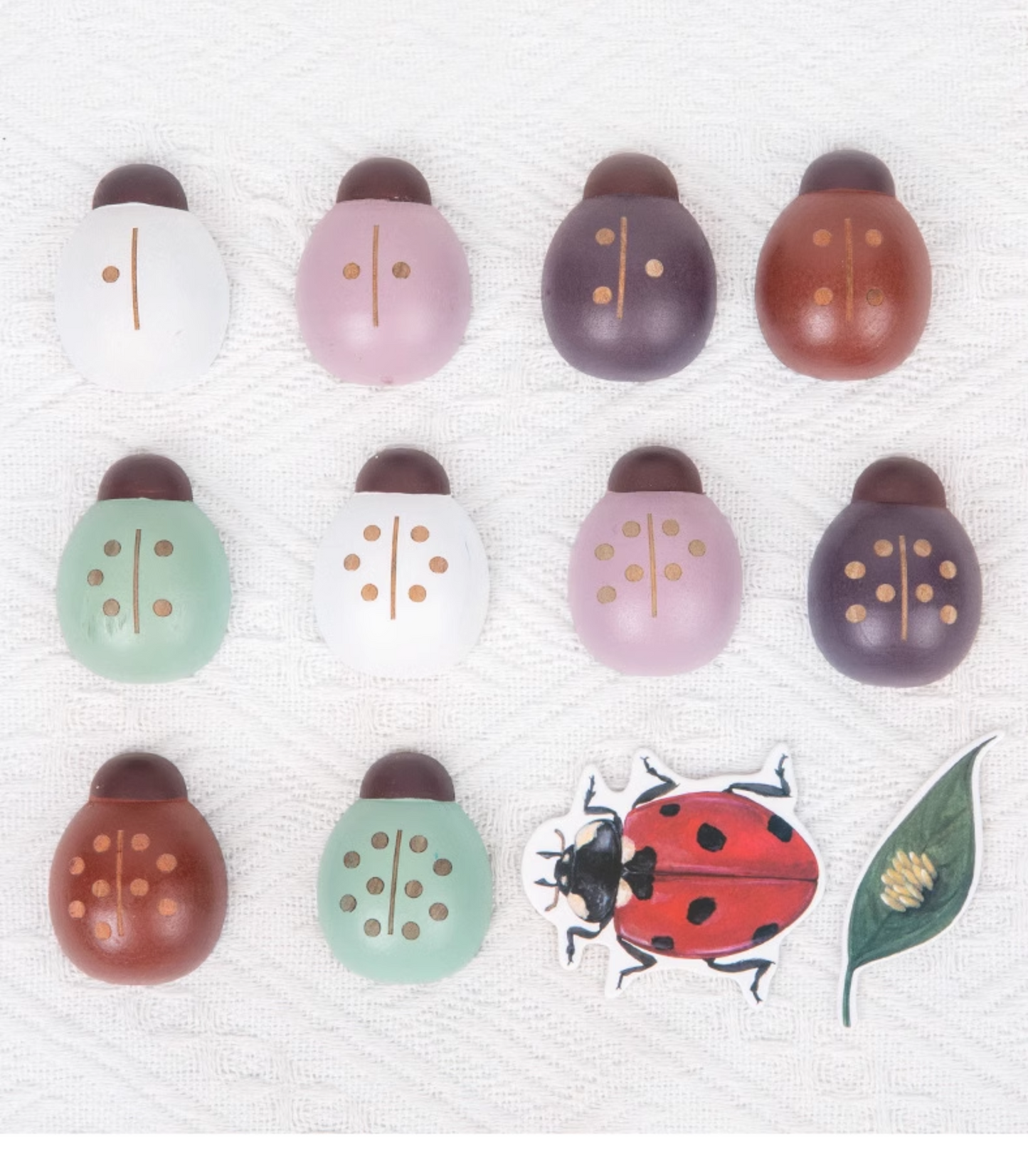 Wooden Ladybug Educational STEM Set