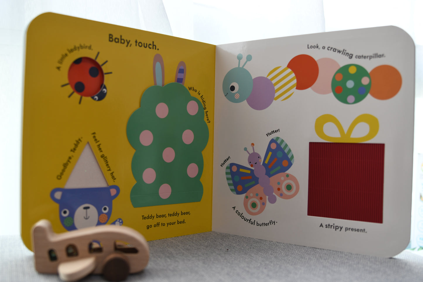 Baby Touch Book Series - Big