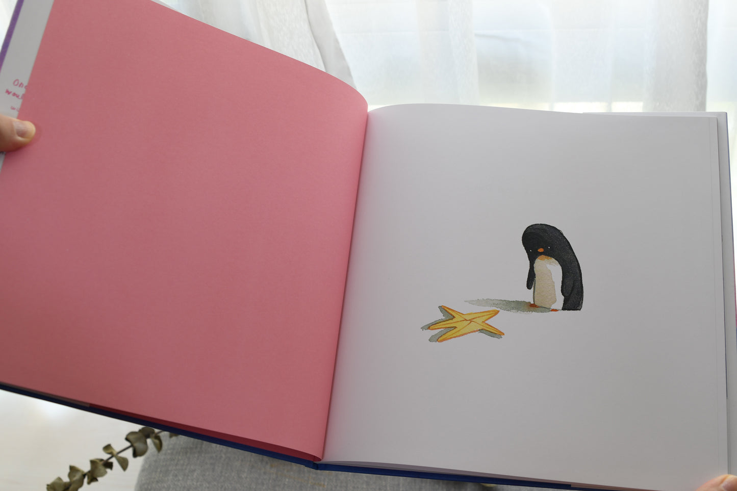 Where to Hide a Star by Oliver Jeffers