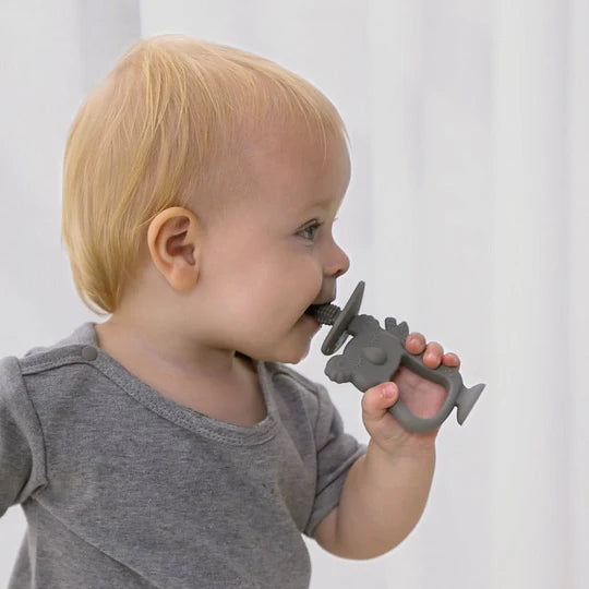 2-in-1 Koala Teether