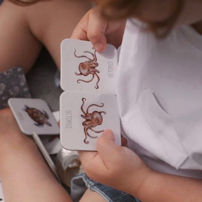 Ocean Memory Card Game