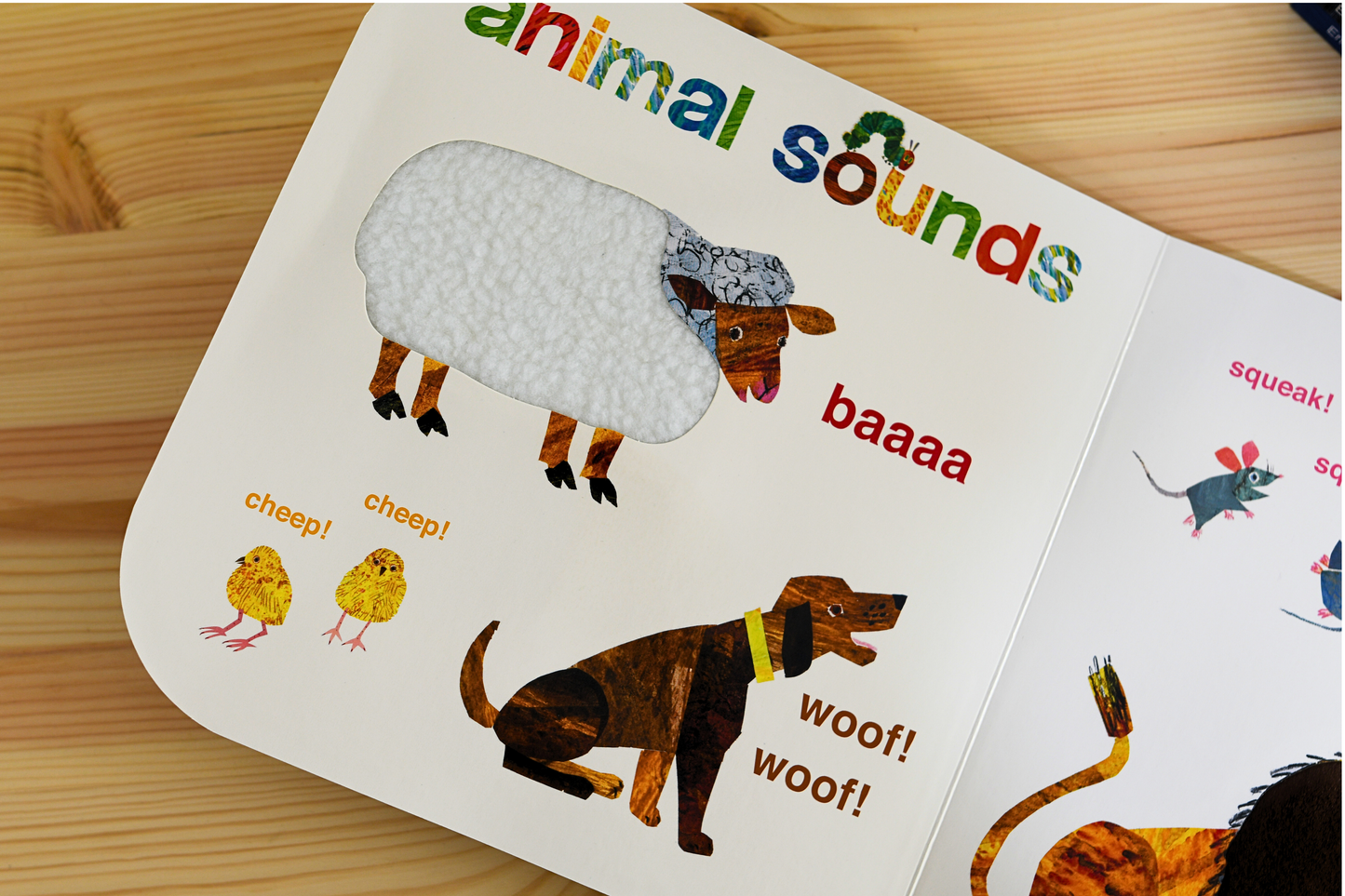 Touch & Feel Playbook by Eric Carle