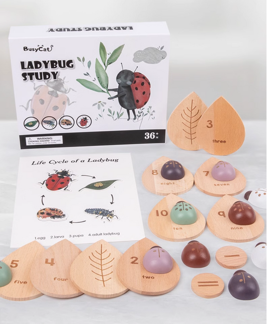 Wooden Ladybug Educational STEM Set