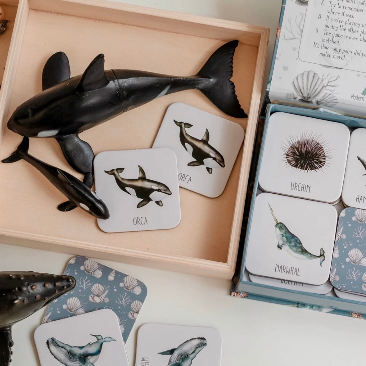 Ocean Memory Card Game