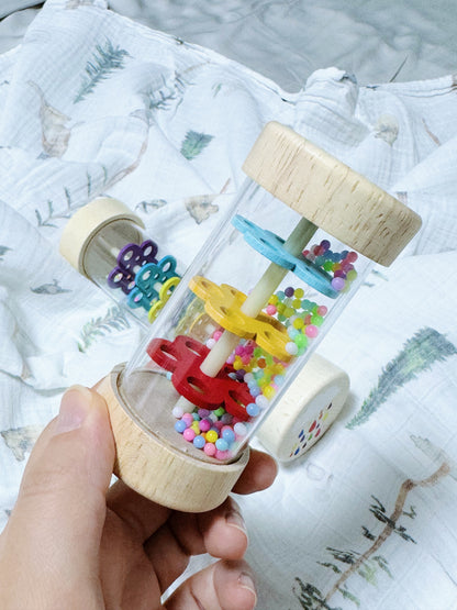 Rain Stick