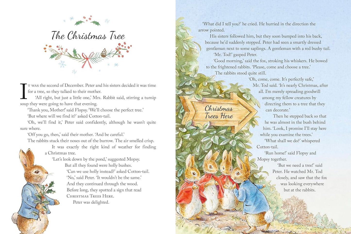 Peter Rabbit: Christmas Tales