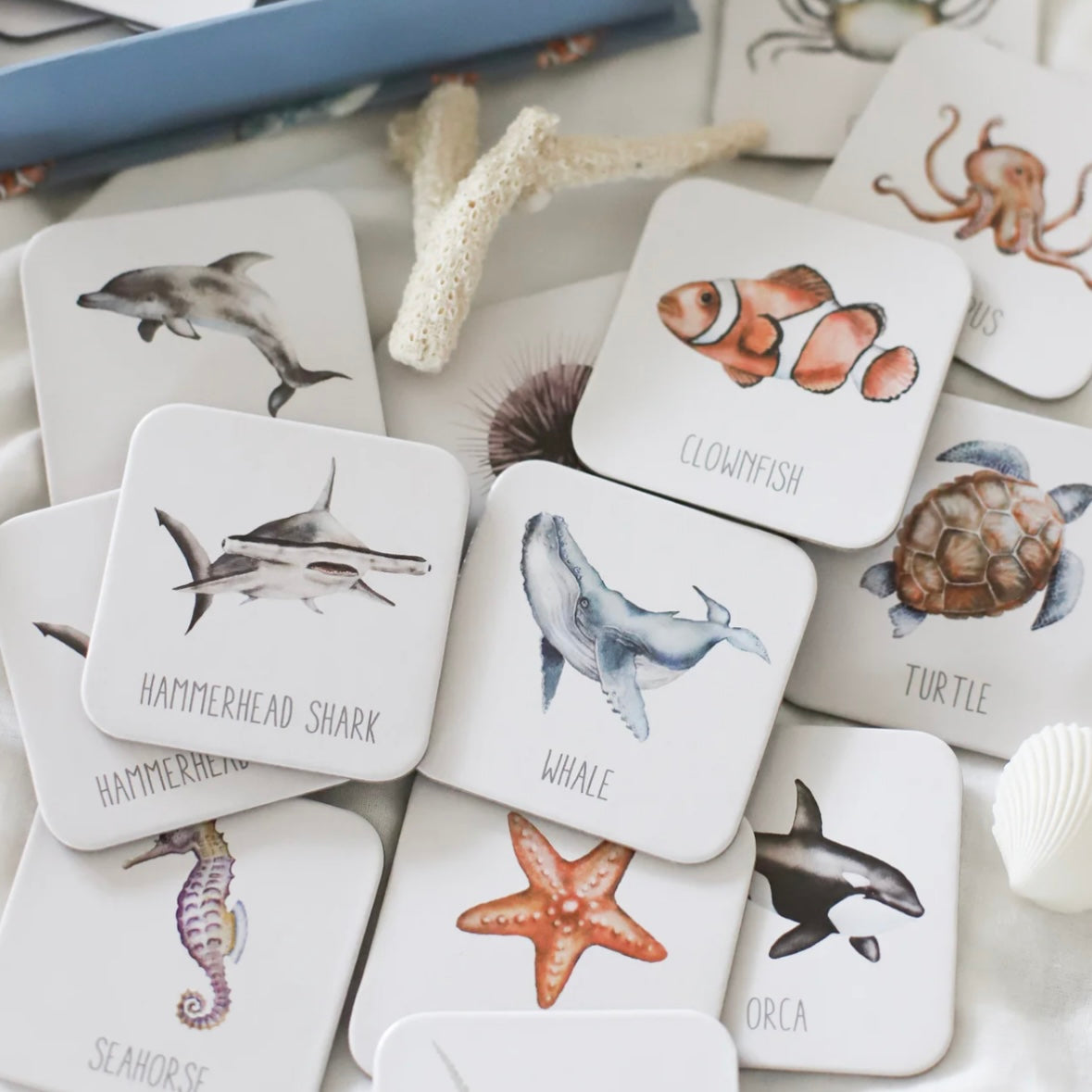 Ocean Memory Card Game