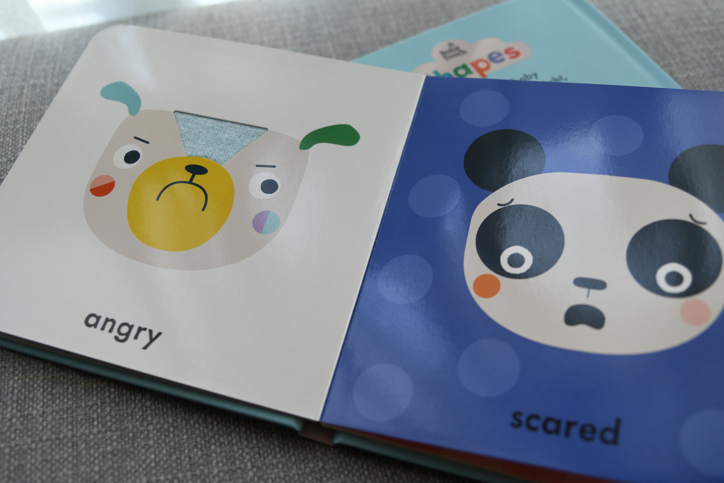 Baby Touch Book Series - Small