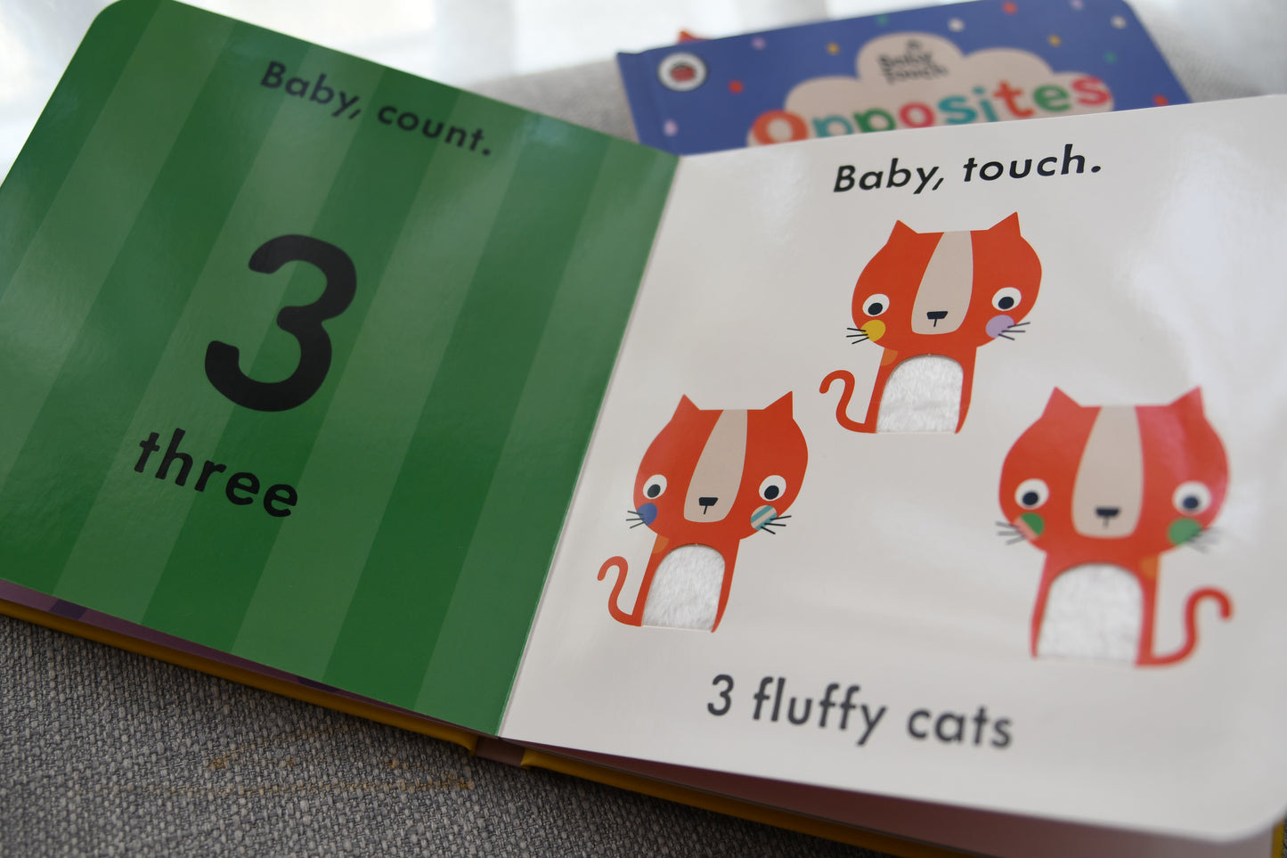 Baby Touch Book Series - Small