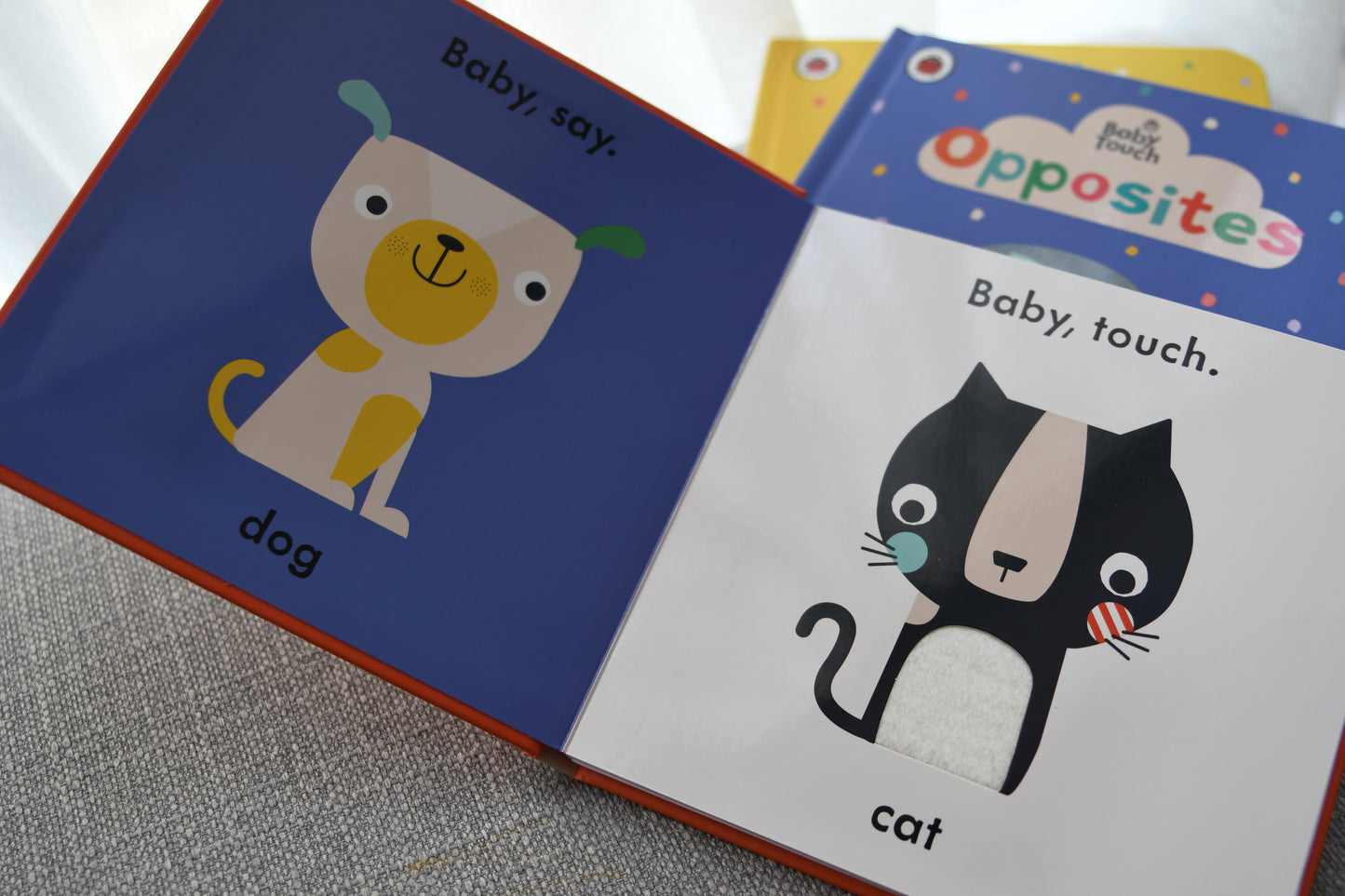 Baby Touch Book Series - Small