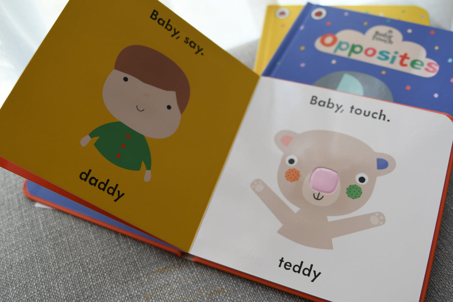 Baby Touch Book Series - Small