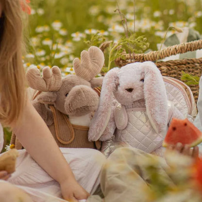 Moonkie Hug & Go™ Rosie Hop the Bunny