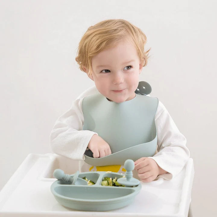 Silicone Baby Bib - 2 Pack